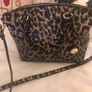 Authentic Snow Leopard Duxbury.